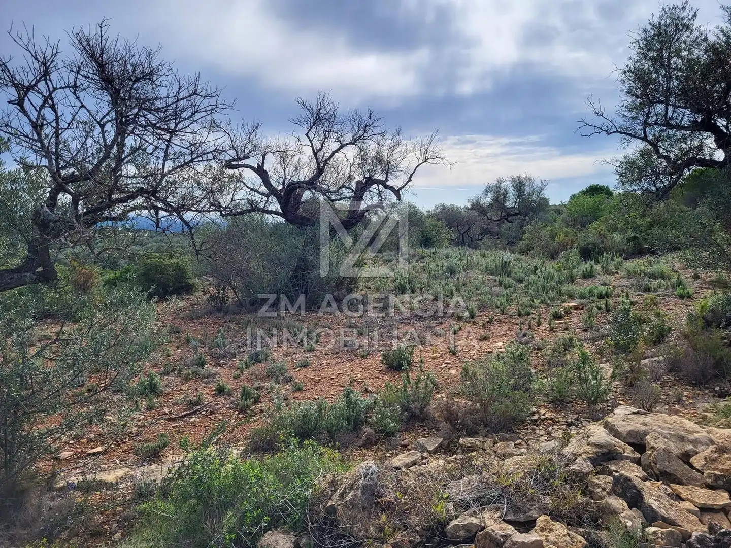 Casa rústica en venta en Traiguera, imagen 15