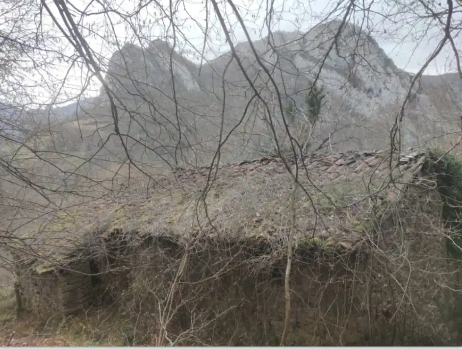 Terreny rústic en venda a Caso, imagen 12