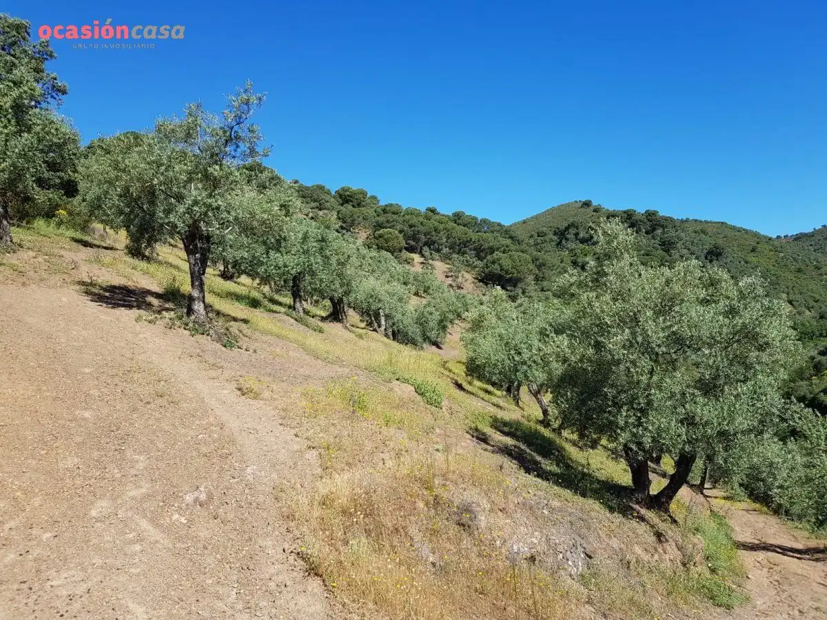 Finca rústica en venta en Villanueva de Córdoba con Jardín privado, Trastero y Amueblado