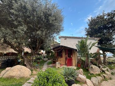 Casa amb jardí en venda a Roca Grossa