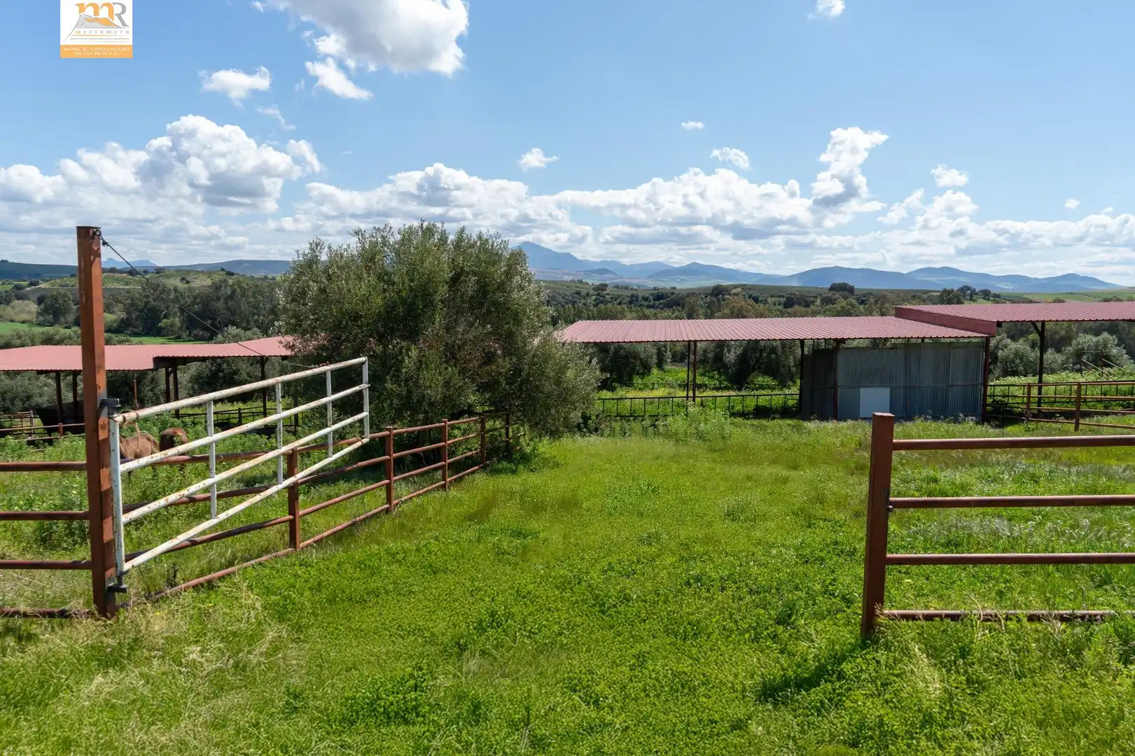Finca rústica en venta en Prado del Rey