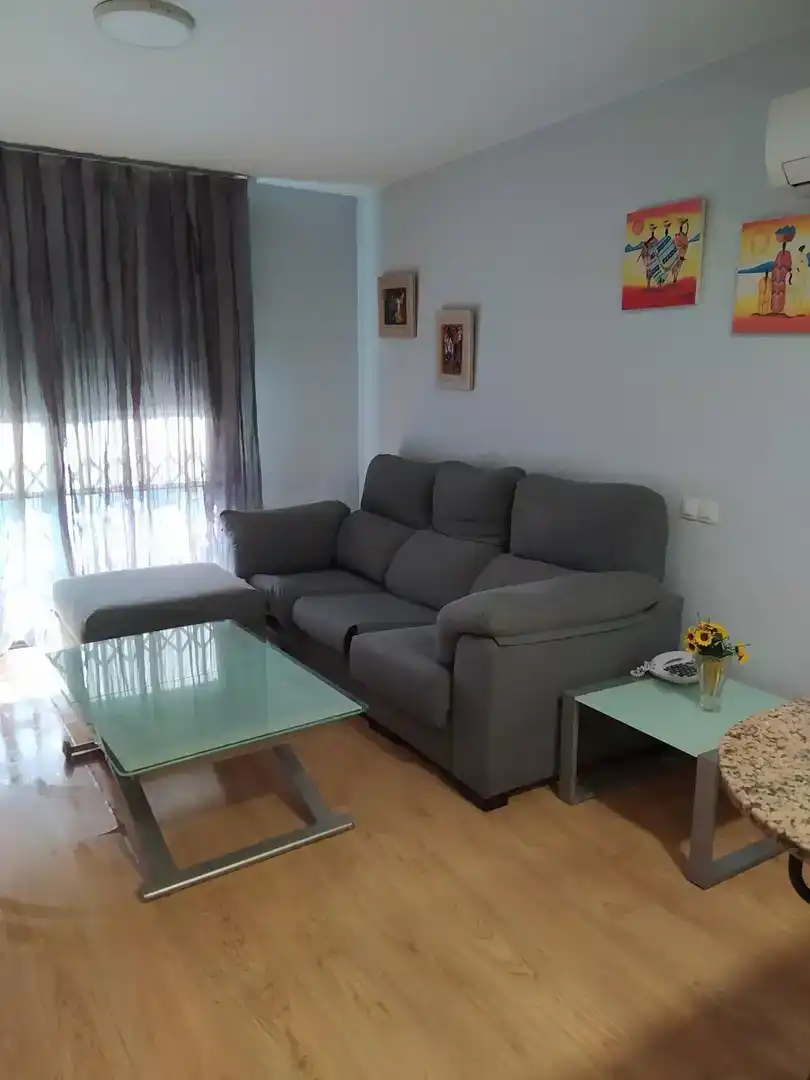 Sala d'estar de Pis en venda en Sant Vicenç Dels Horts amb Aire condicionat i Balcó