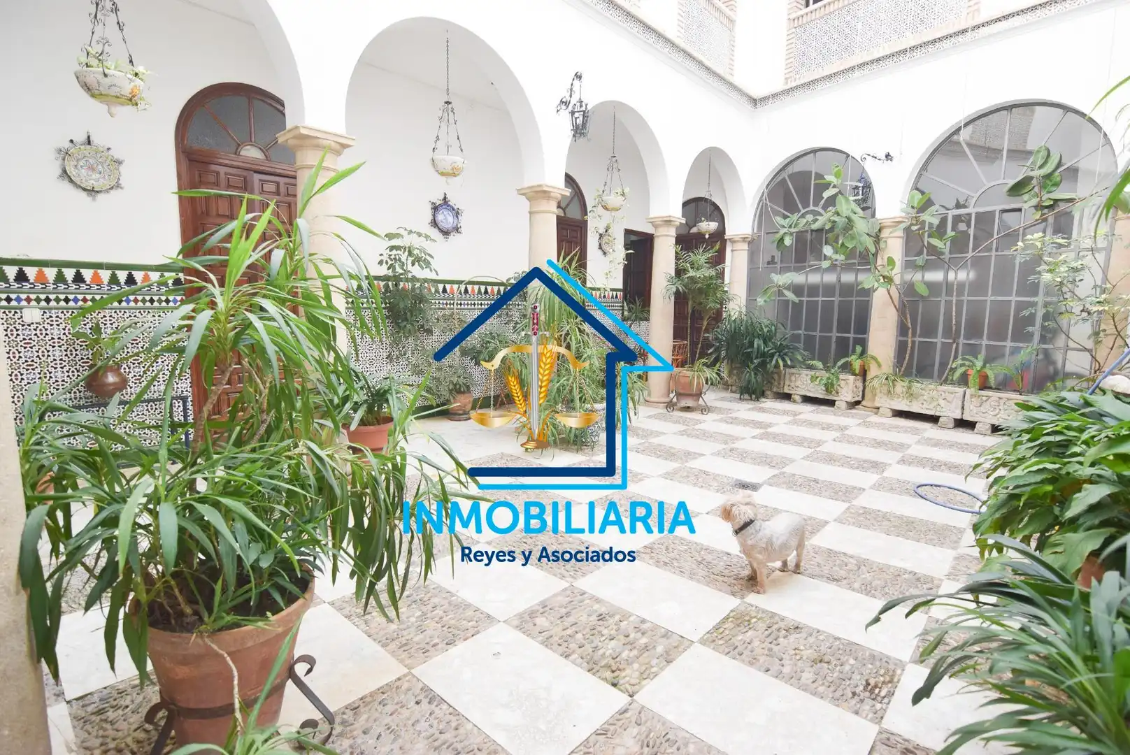 Jardí de Casa o xalet en venda en Córdoba amb Aire condicionat