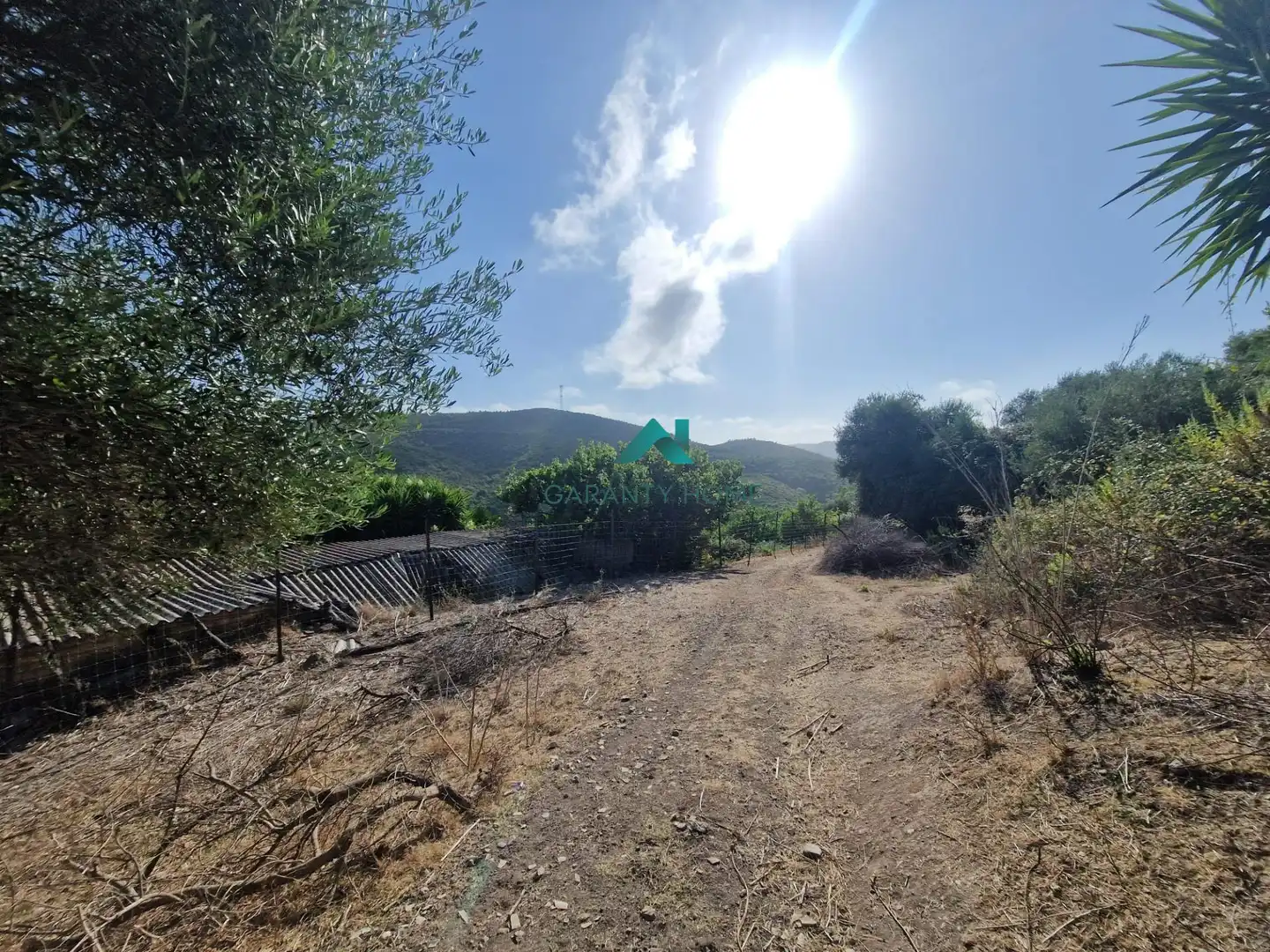 Rural land for sale in San José del Valle, imagen 5