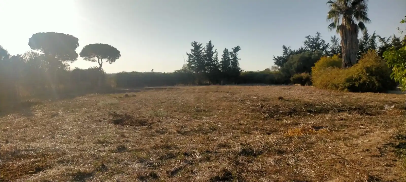 Rural land for sale in El Juncal - Vallealto, imagen 11
