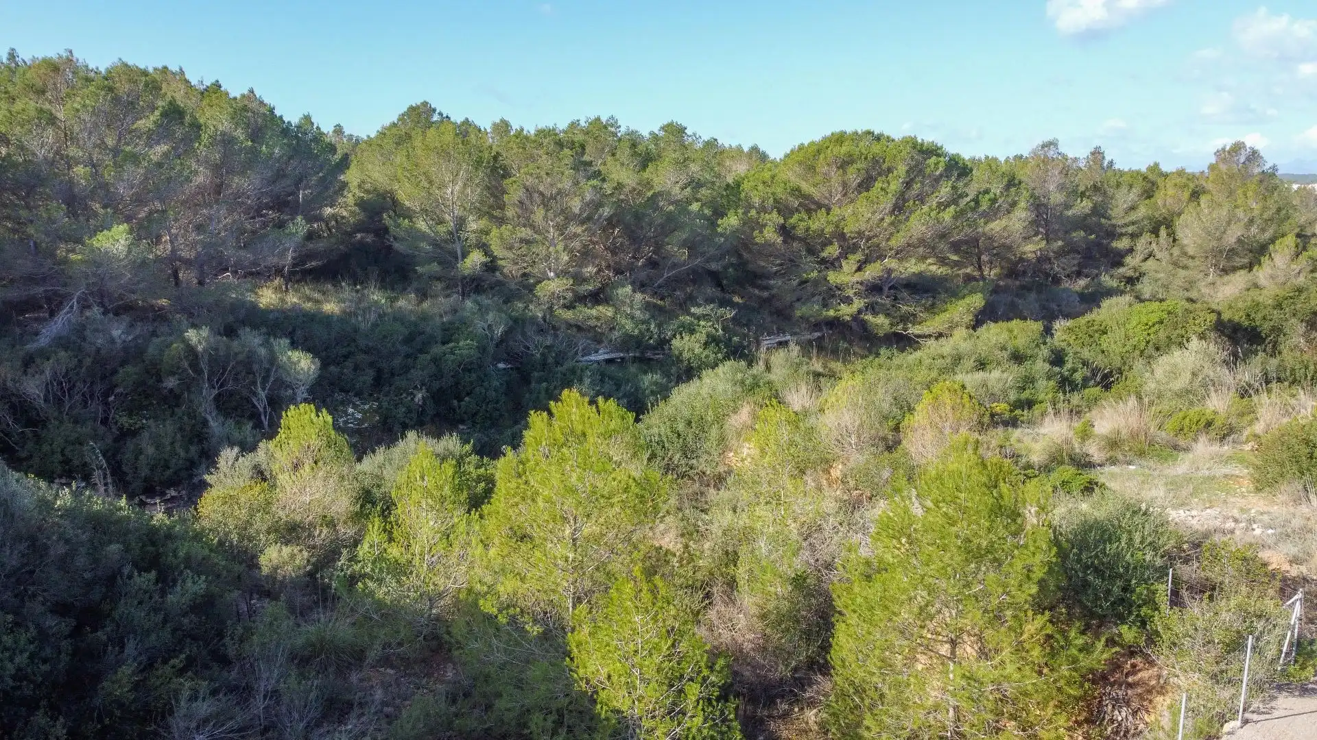 Terrenys i solars en venda a S'Estanyol, imagen 16