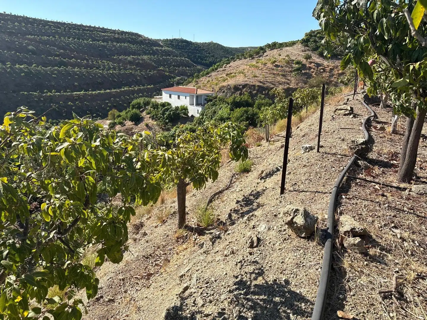 Casa en venta en Vélez-Málaga ciudad, imagen 10