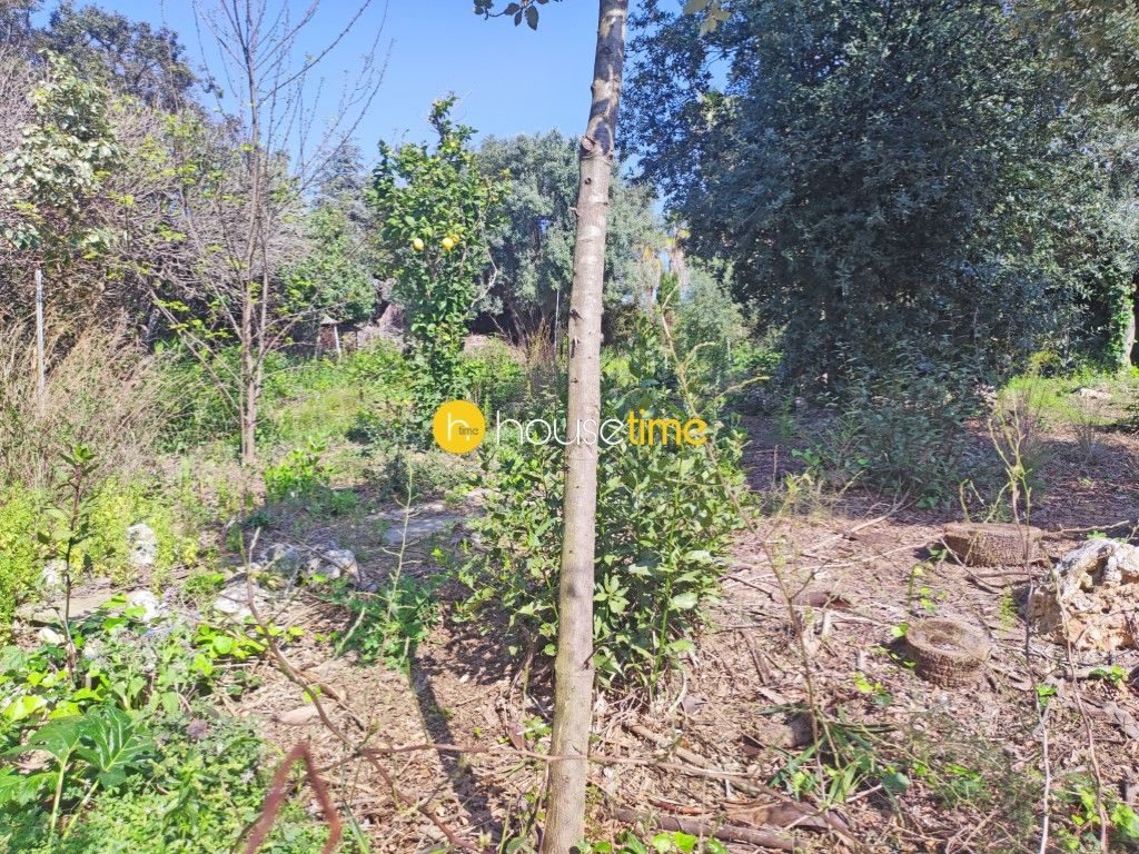 Residential for sale in El Masnou
