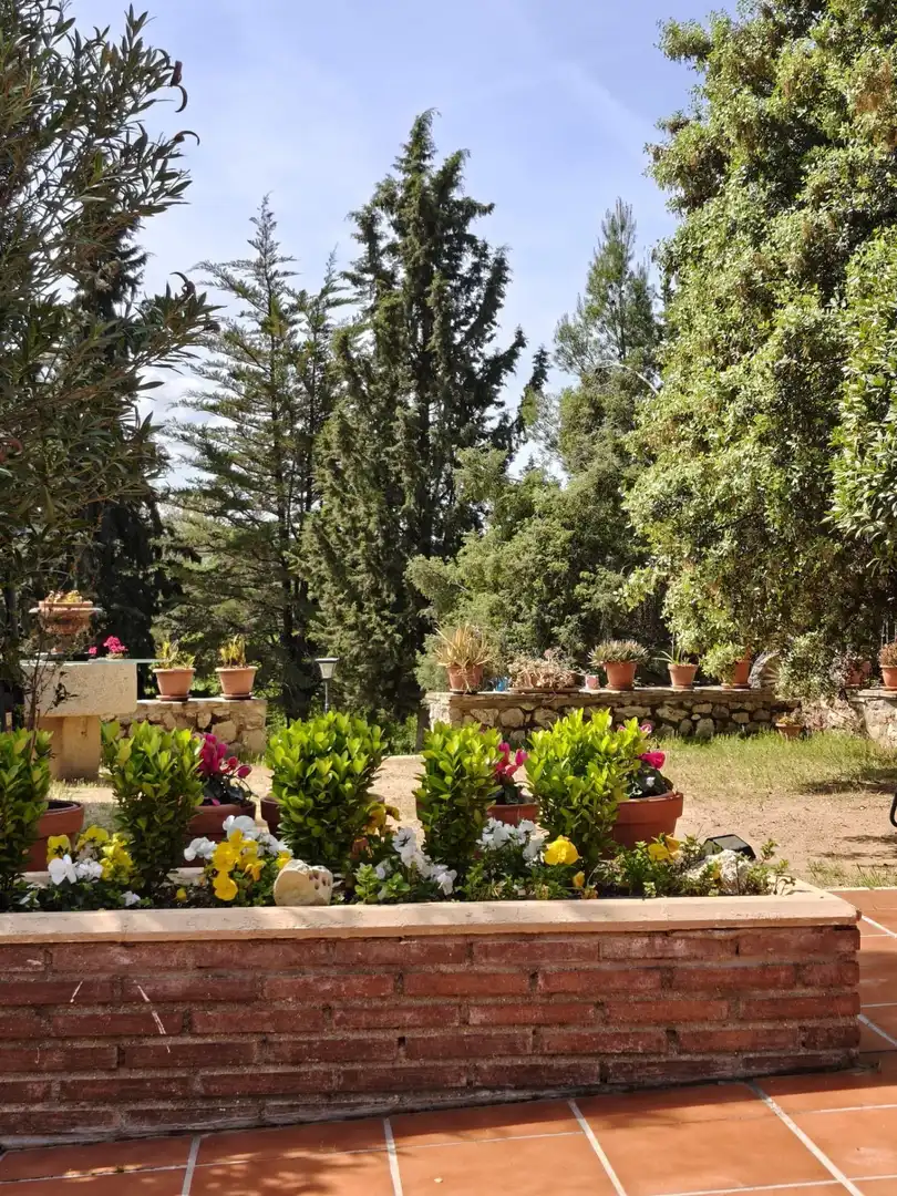 Chalet en venta en CERRO PALOS poligono 45 parcela 63, imagen 28