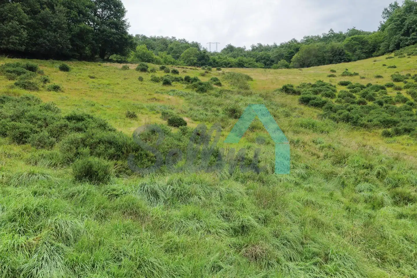 Land for sale in Proaza