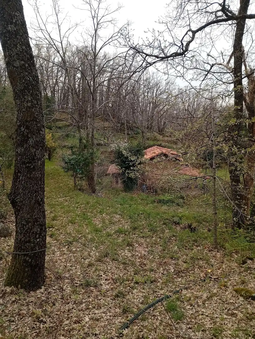 Terreni e lotti in vendita a Valverde de la Vera, imagen 29