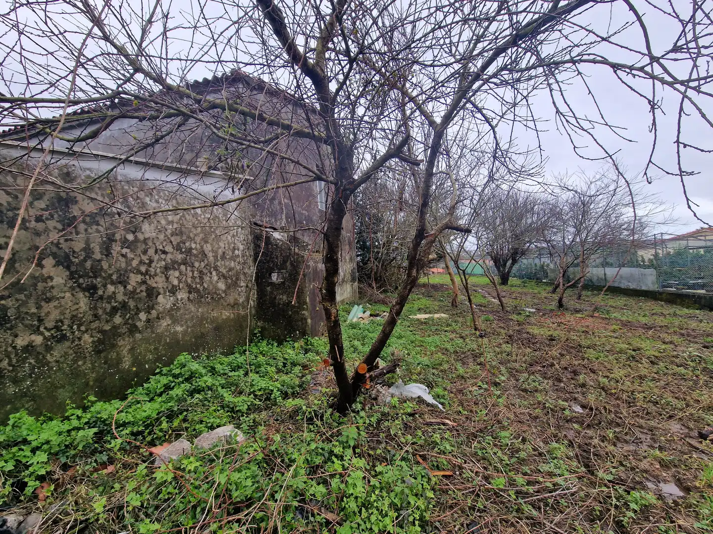 Maison avec jardin à vendre à Aldea Pazos, imagen 2