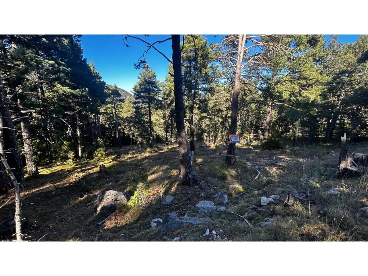 Rustikales Grundstück zum Verkauf in La Coma i la Pedra, imagen 6