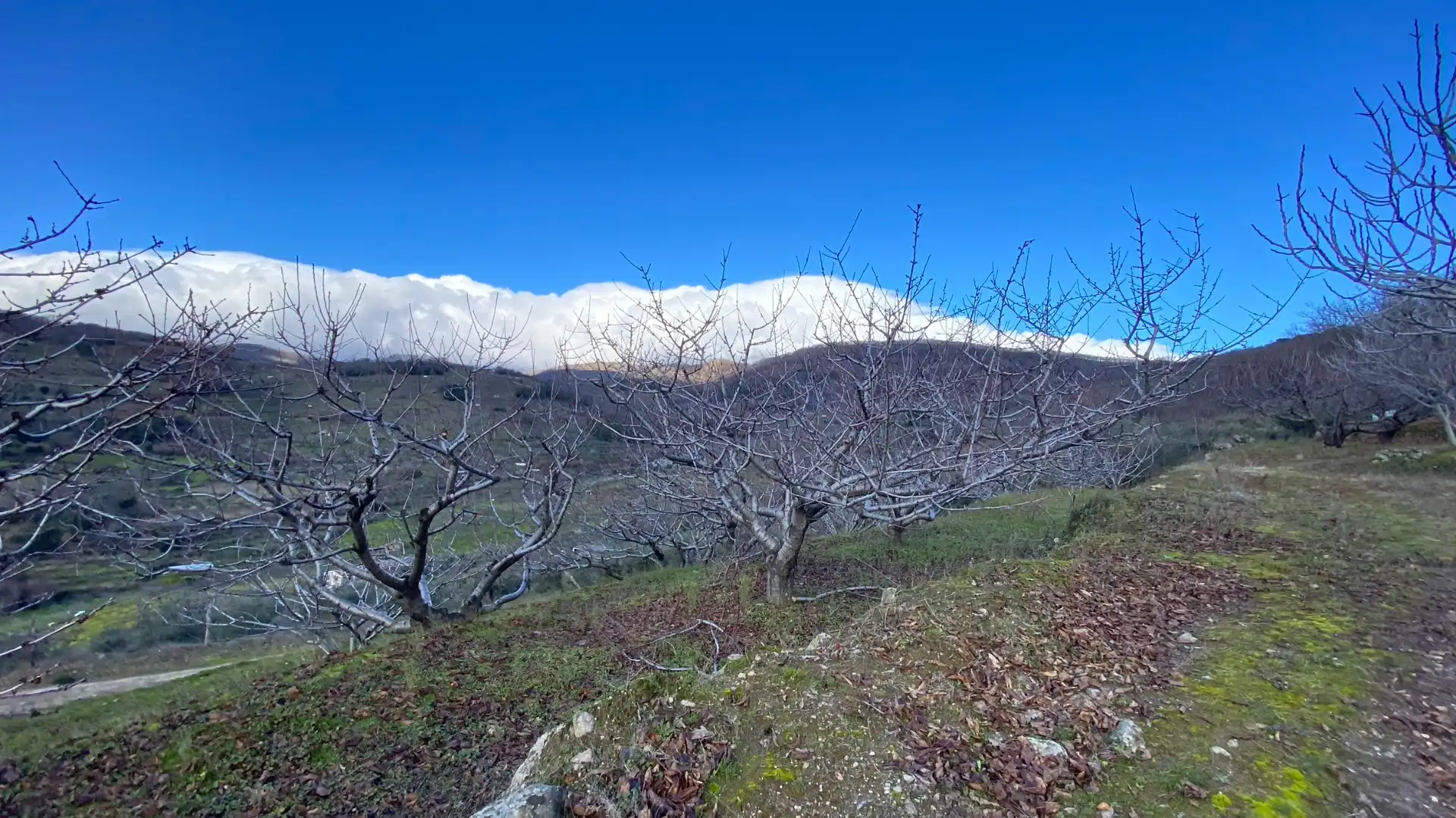 Terreni e lotti in vendita a Pasarón de la Vera, imagen 15