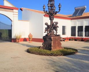 Garden of Country house for sale in Alcalá del Río  with Air Conditioner, Heating and Private garden