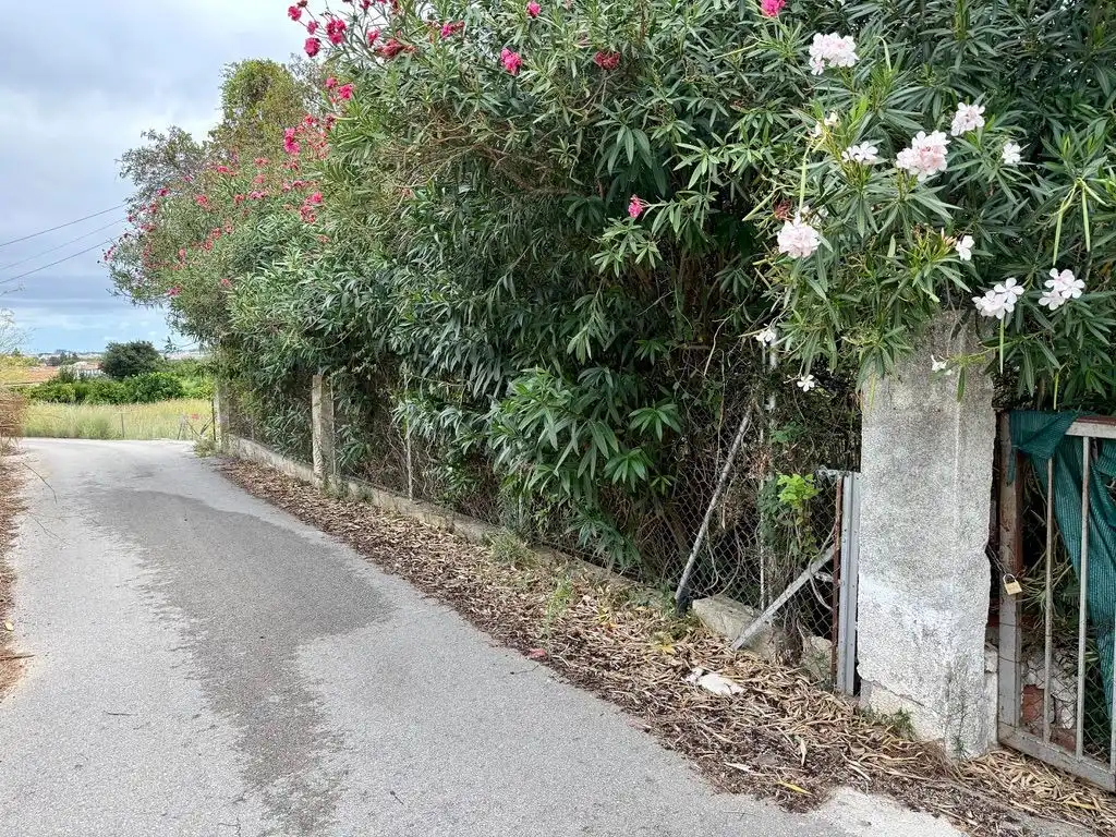 Casa rústica amb jardí en venda a Beniarbeig, imagen 32