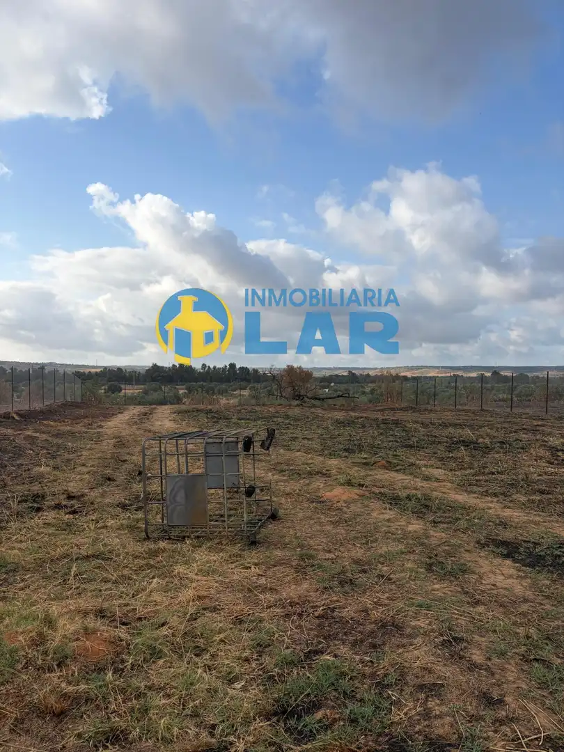 Land for sale in Niebla