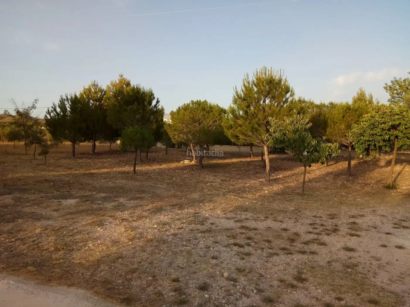 Villa à vendre à Calle Gerona 138, imagen 14