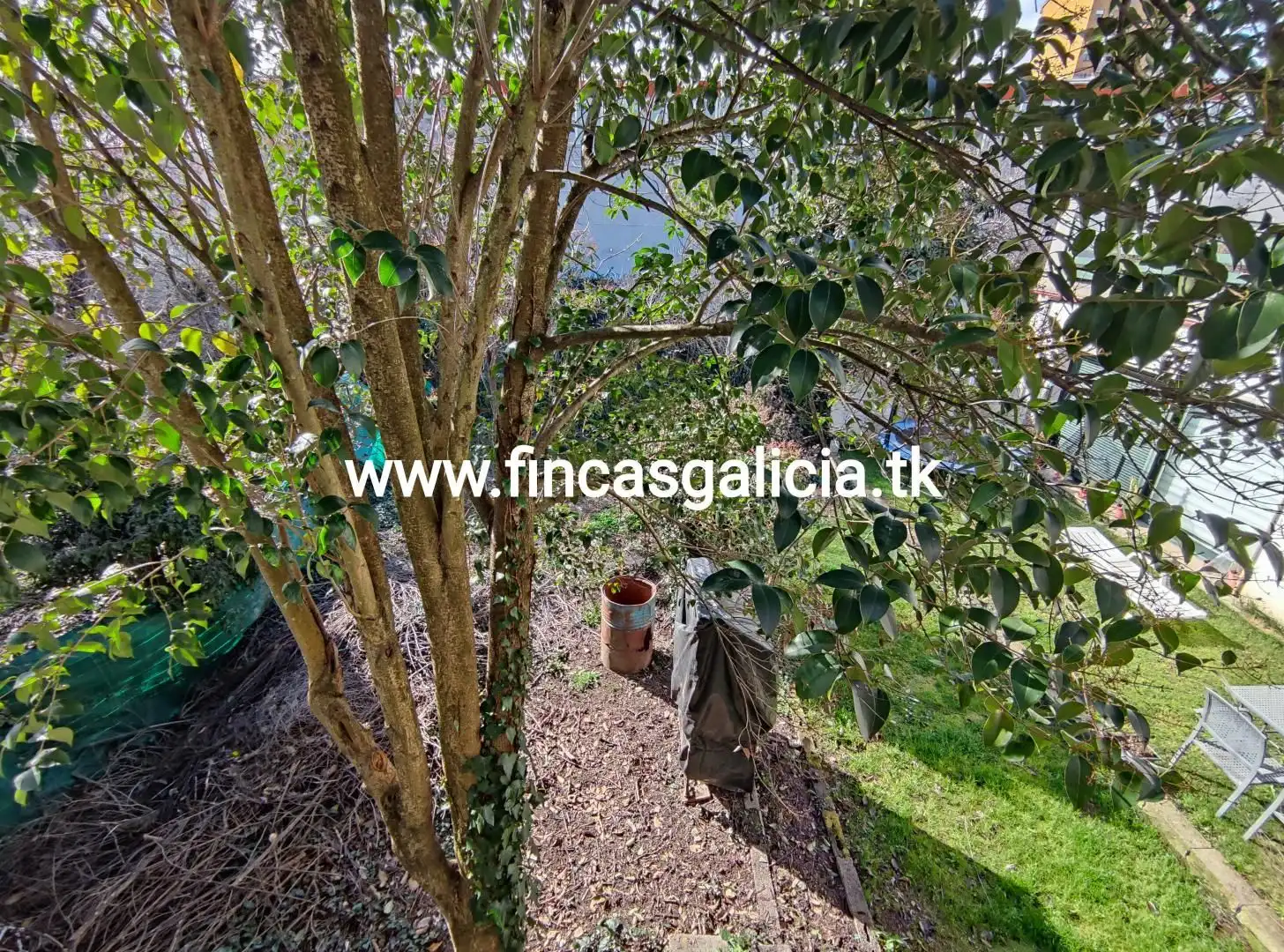 Casa con terrazza in vendita a Verín, imagen 2