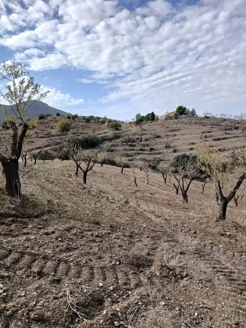 Terrenys i solars en venda a Puerto Lumbreras, imagen 28