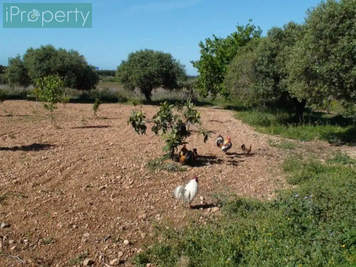 Finca rústica en venta en El Vendrell con Aire acondicionado, Calefacción y Jardín privado