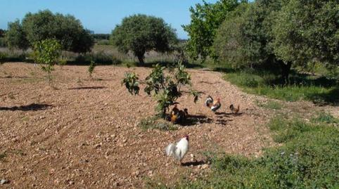 Foto 4 de Finca rústica en venda a Plaza de Mar S/n, Centre, Tarragona
