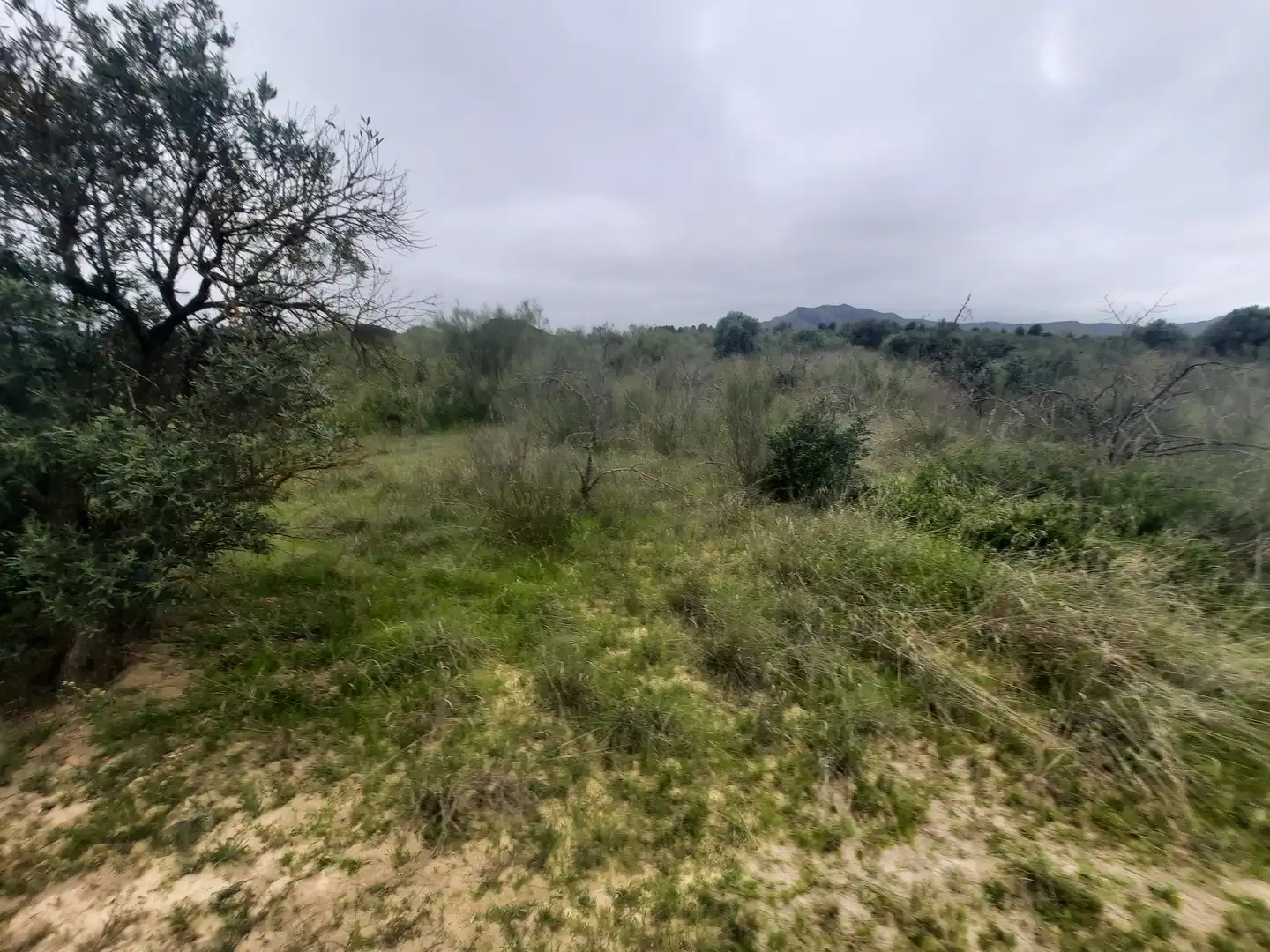 Residencial en venda en Riba-roja d'Ebre