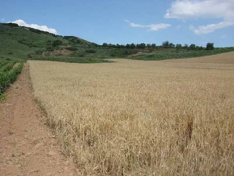 Terreny rústic en venda a Villamediana de Iregua