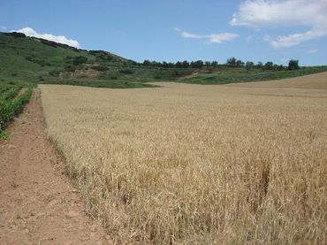 Terreno rustico in vendita a Villamediana de Iregua