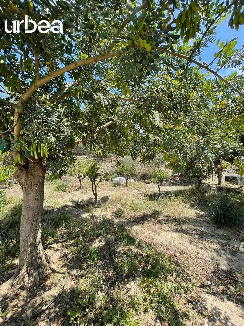 Finca rústica de alquiler en Málaga con Calefacción, Jardín privado y Terraza