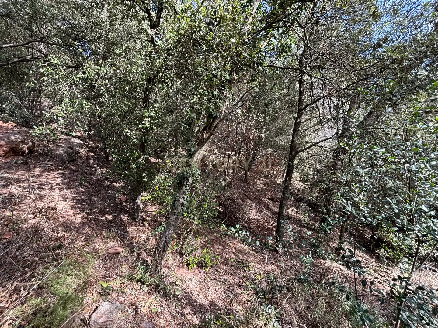 Terrain résidentiel à vendre à moliner 35, imagen 18