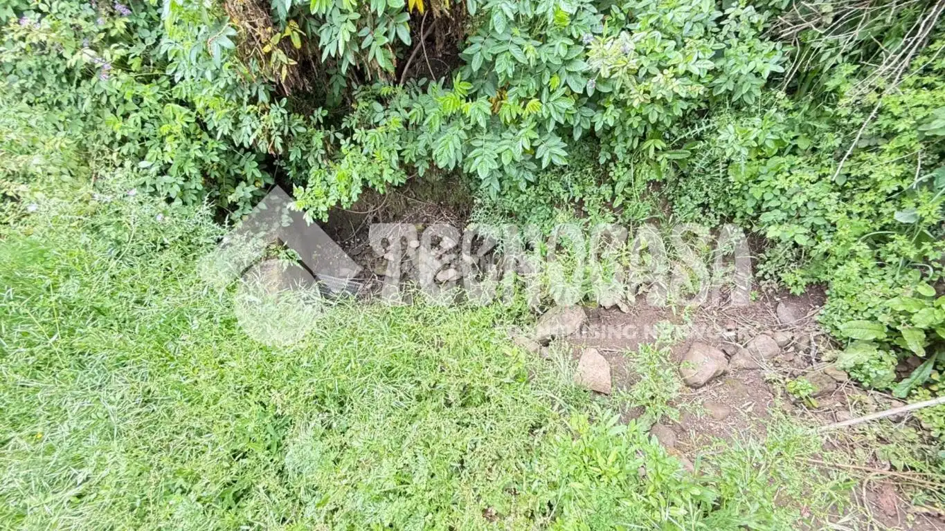 Terreno en venta en Moya (Las Palmas)