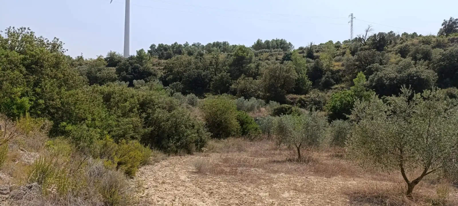 Residencial en venda en Vilalba dels Arcs
