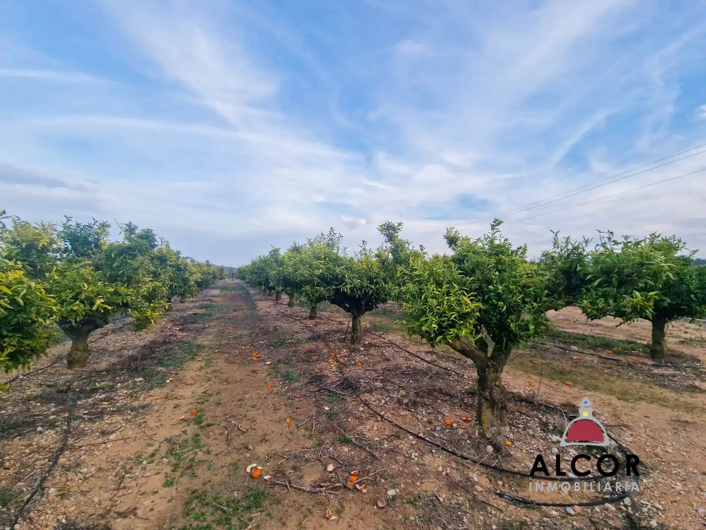 Finca rústica en venda en Càlig