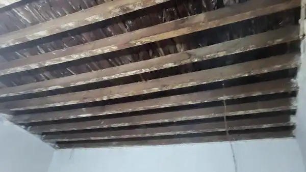 Finca rústica en venta en Arucas