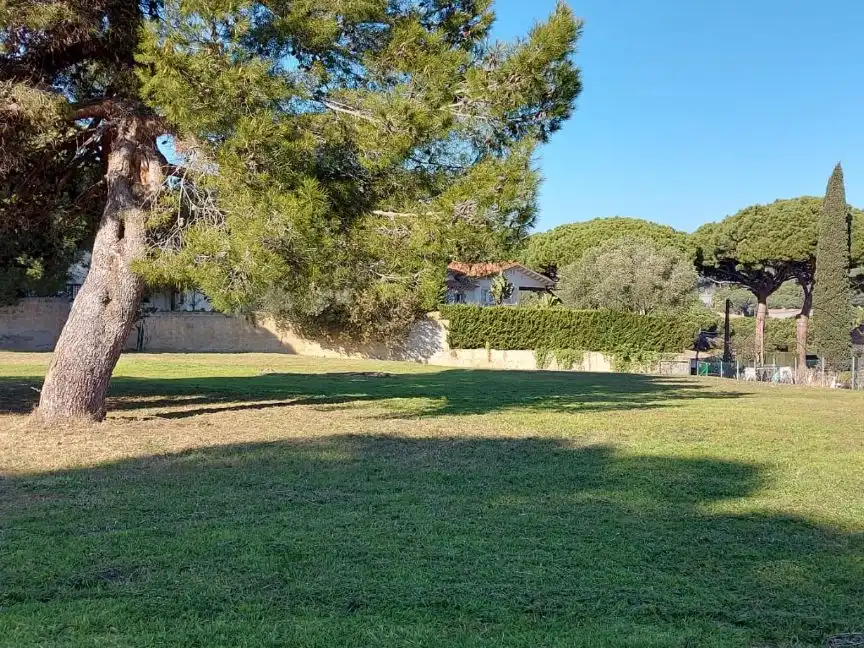 Terreno rústico en alquiler en avd Esglesia 1, imagen 6