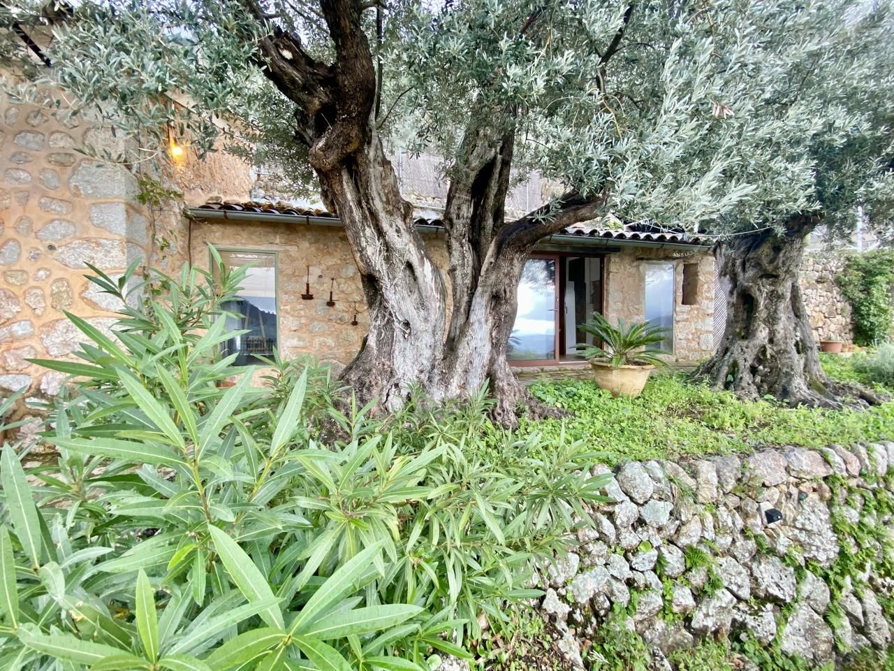 Garten von Country house zum verkauf in Fornalutx