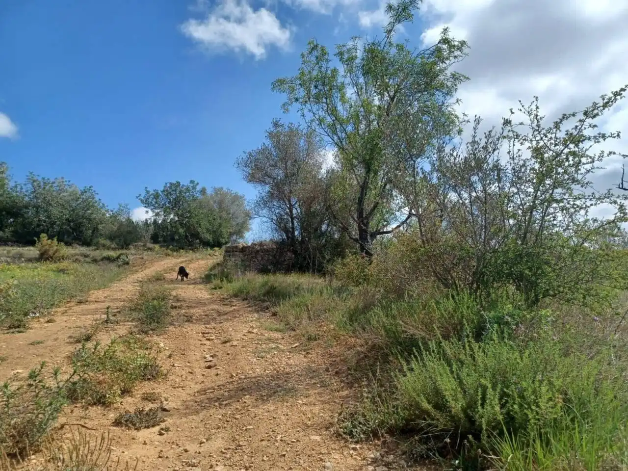 Terreno residencial en venta en Camino Coma, imagen 4