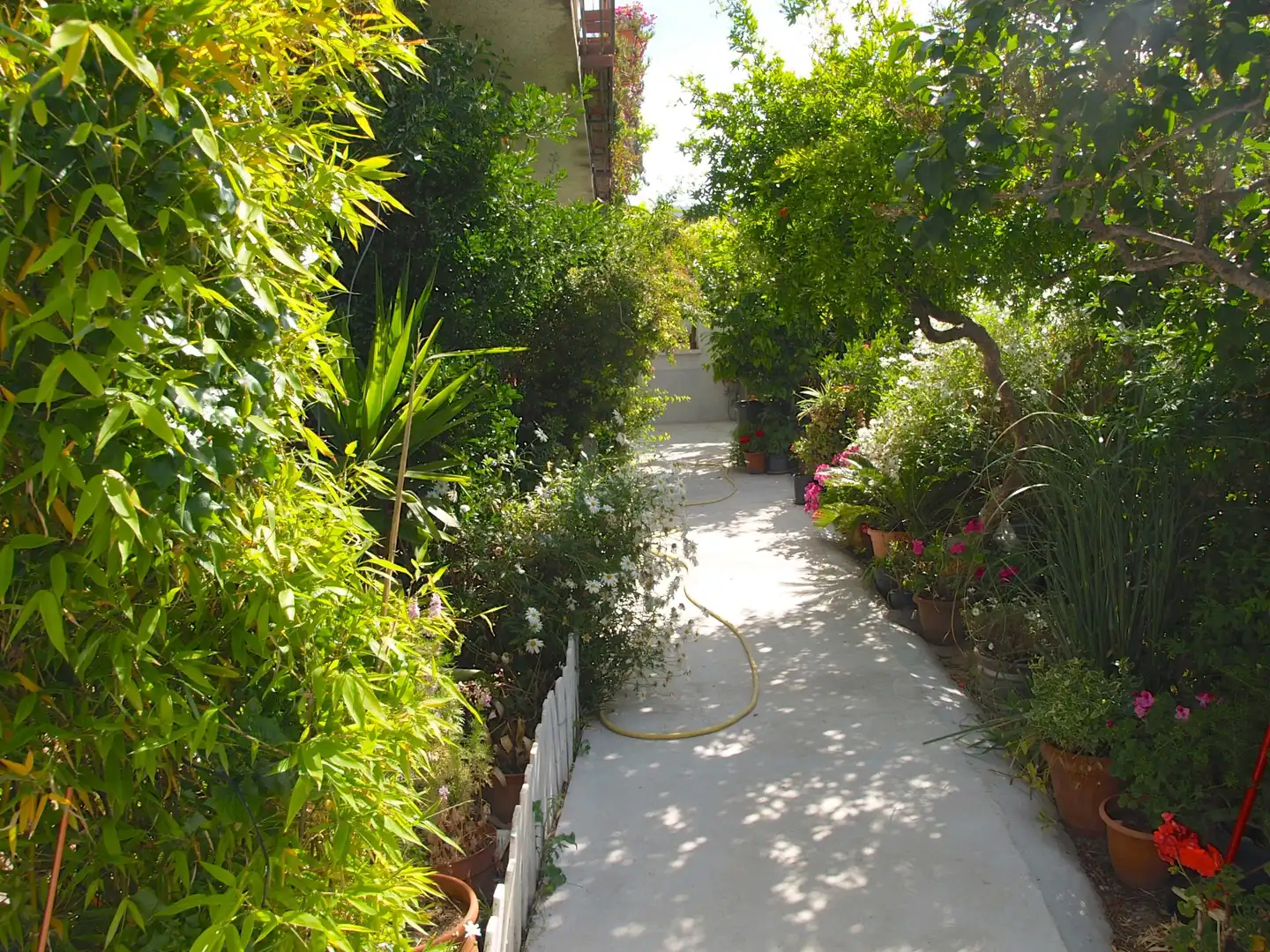 Jardí de Casa o xalet en venda en Terrassa amb Jardí privat, Terrassa i Traster