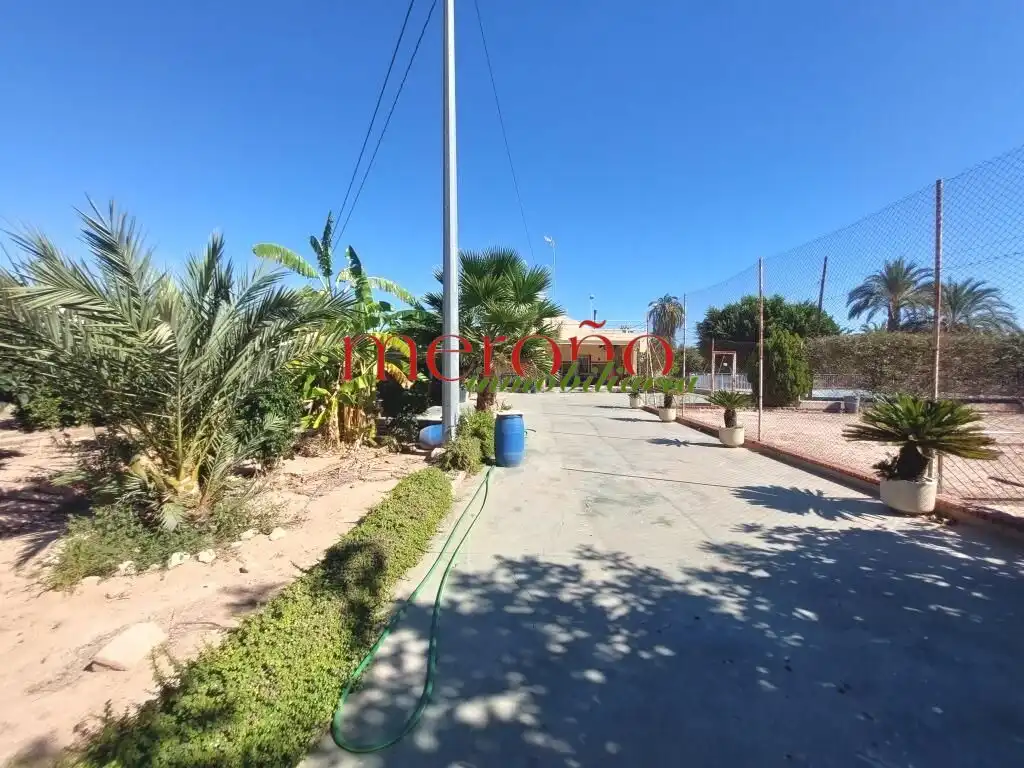 Vista exterior de Casa o xalet en venda en Elche / Elx amb Jardí privat i Piscina
