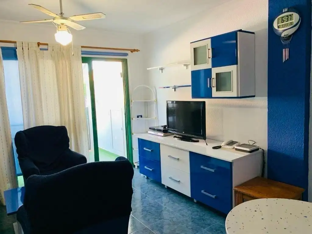 Sala d'estar de Apartament de lloguer en San Bartolomé de Tirajana amb Aire condicionat, Jardí privat i Moblat