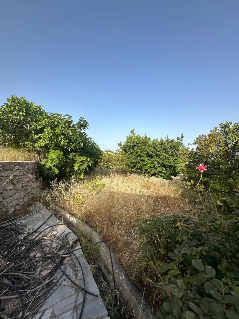 Finca rústica en venta en Somontín