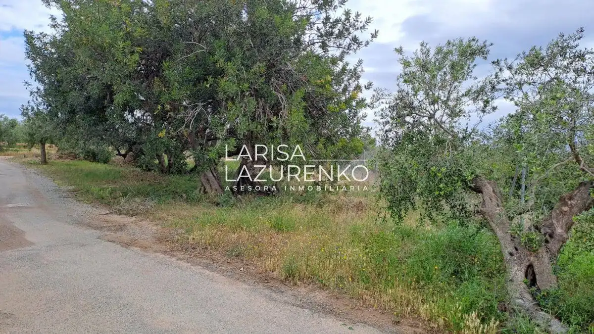 Finca rústica en venda en Vinyols i els Arcs
