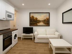 Living room of Apartment to rent in  Madrid Capital  with Heating