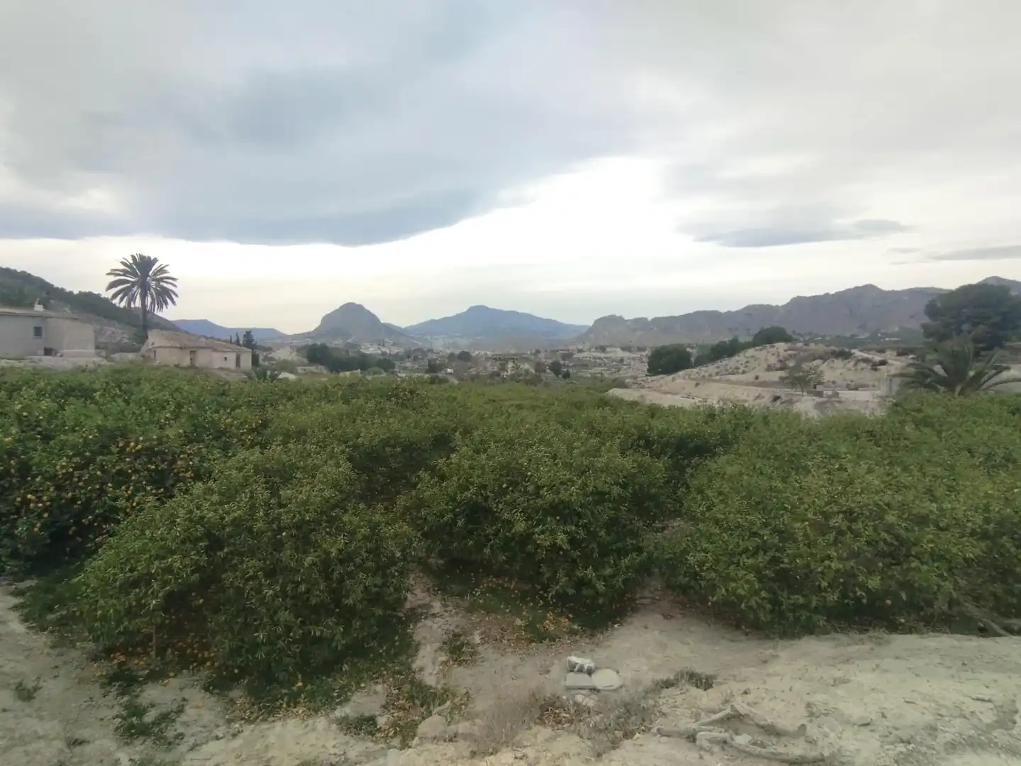 Terreno en venta en Ulea