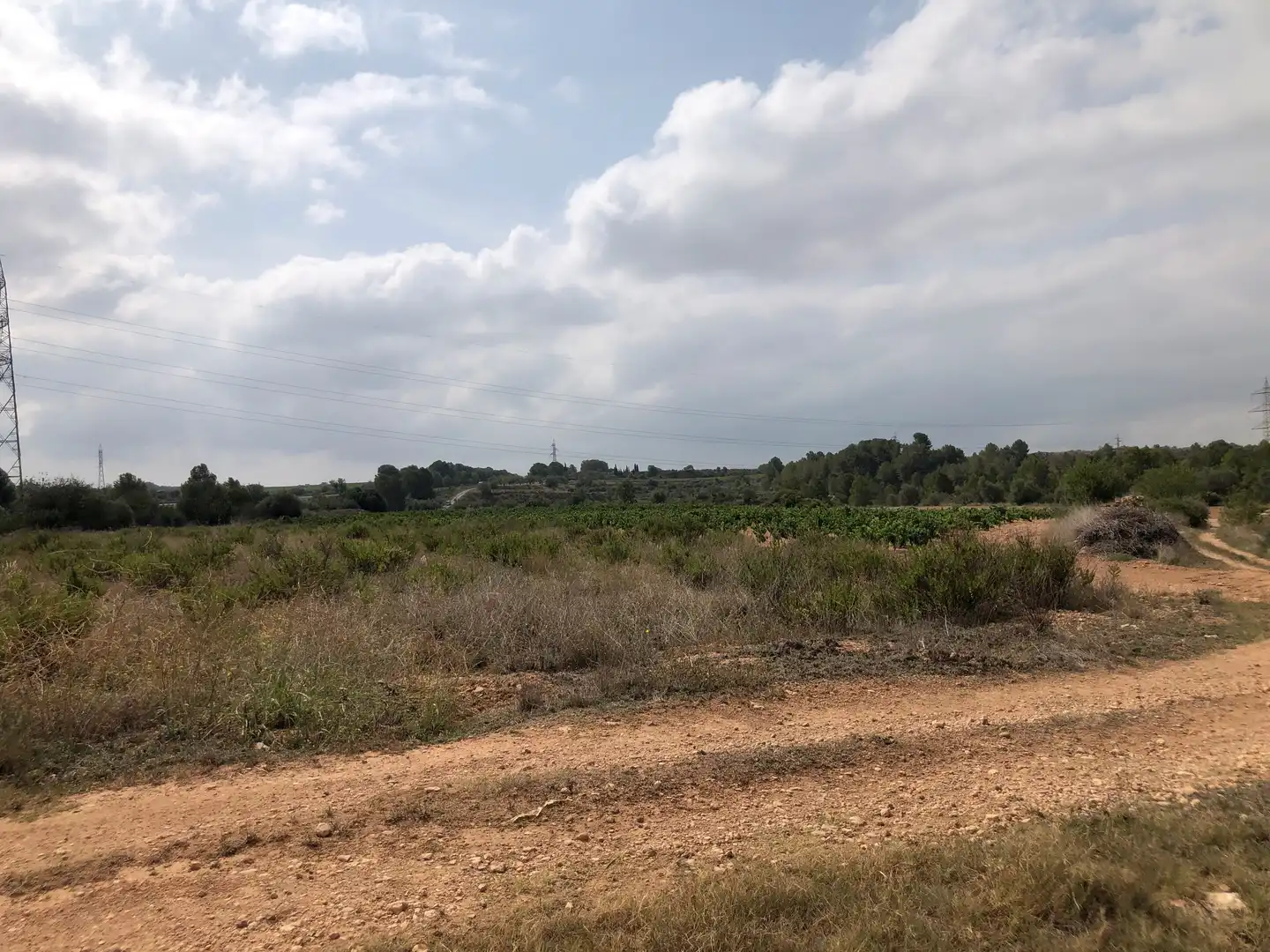 Terreno rústico en venta en Vila-rodona, imagen 12