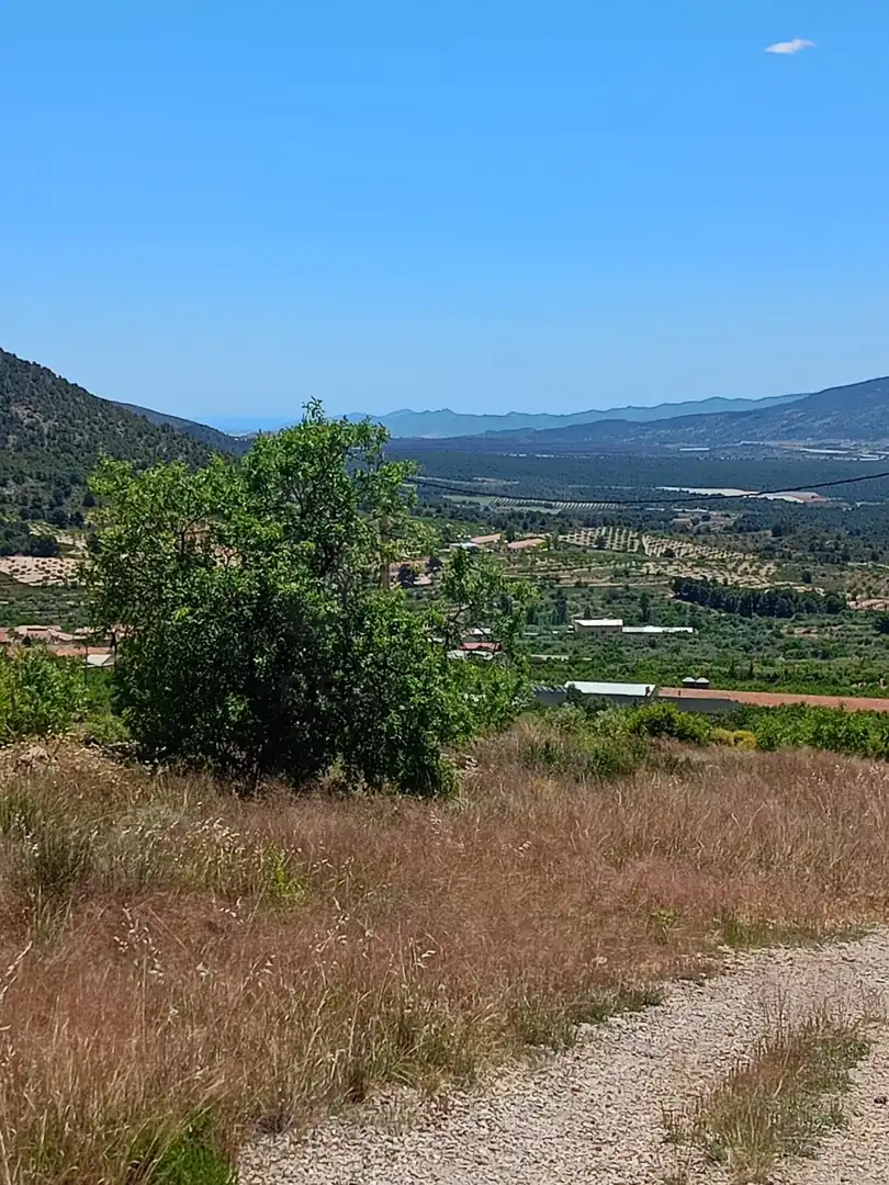 Terreni e lotti in vendita a Pedanías Norte, imagen 11