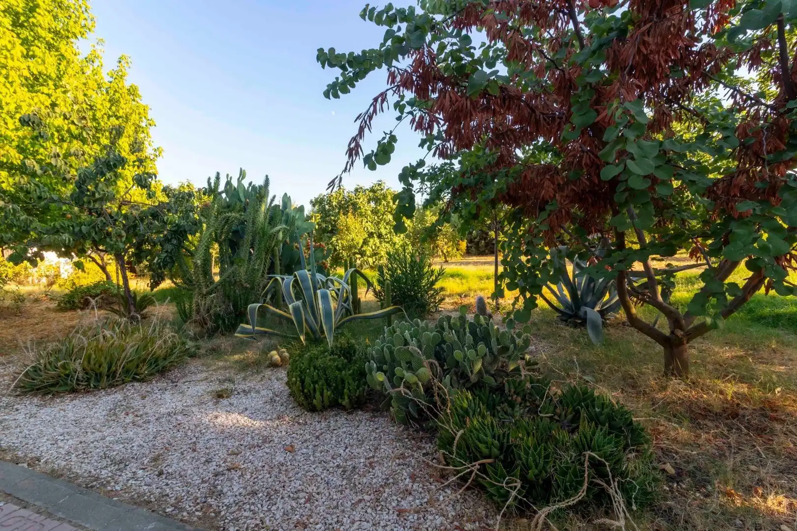 Casa rústica con piscina en venta en Dehesilla de Calamón - Campomanes, imagen 48