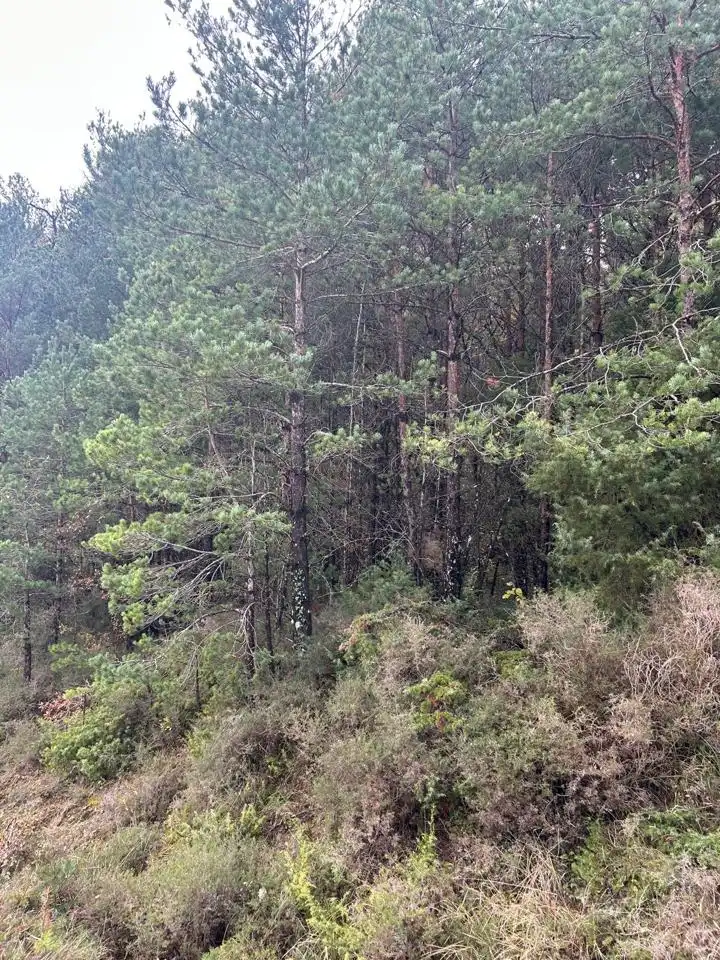 Land for sale in Kuartango