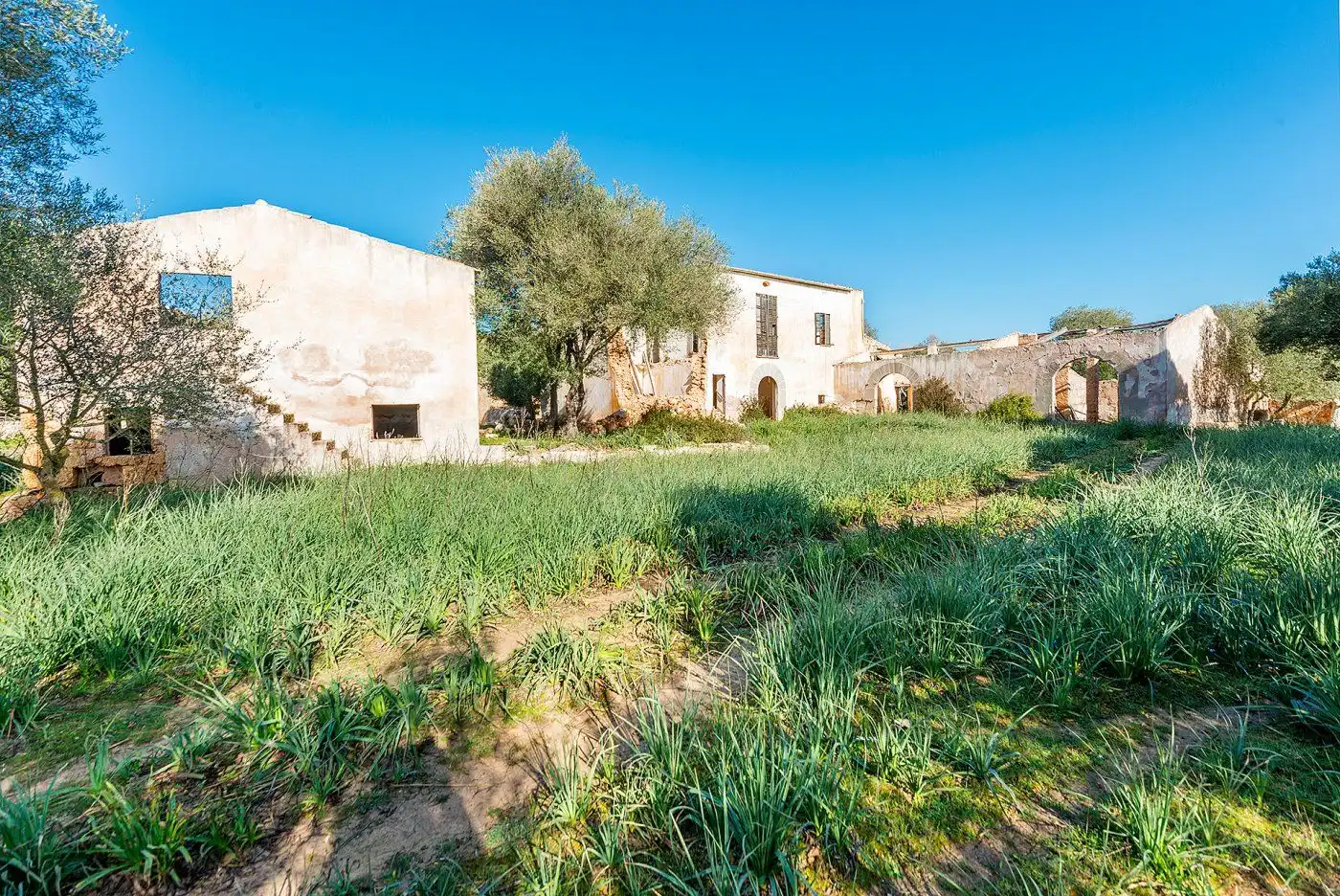 Garden of Country homes for sale in Inca